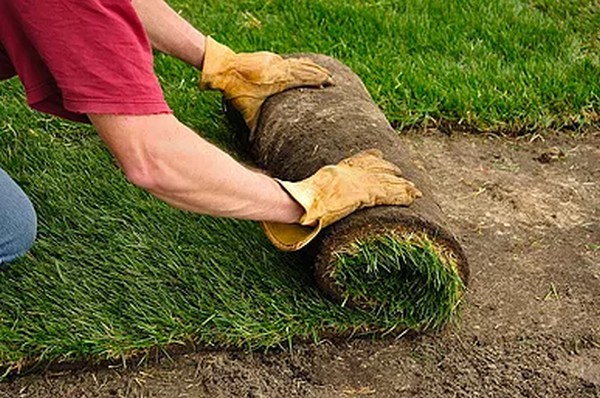 Atlanta Sod Installation