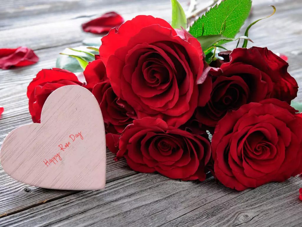 Rose Day