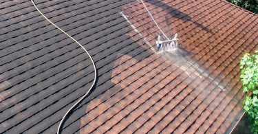 Professional Roof Cleaning Service