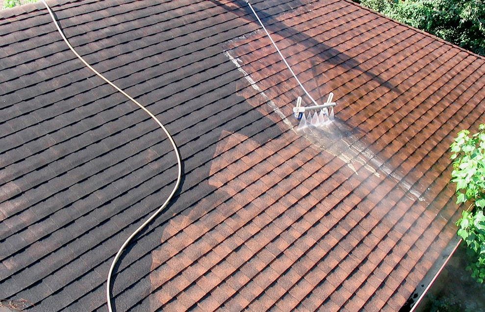 Professional Roof Cleaning Service