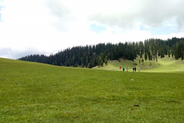 Bangus Valley