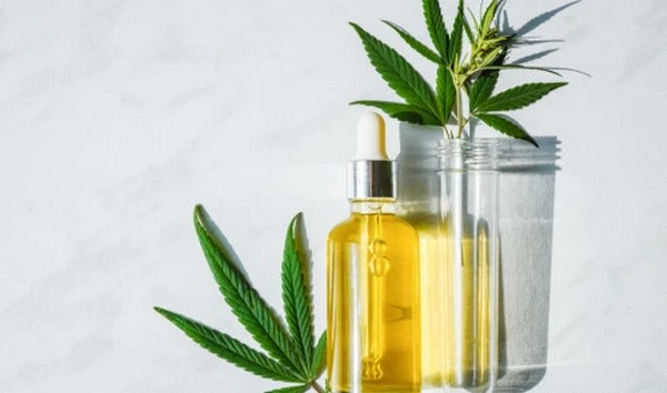 Best CBD Oil