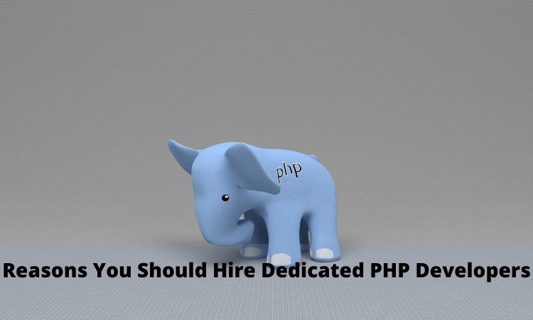 Hire Dedicated PHP Developers