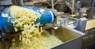 potato processing business plan