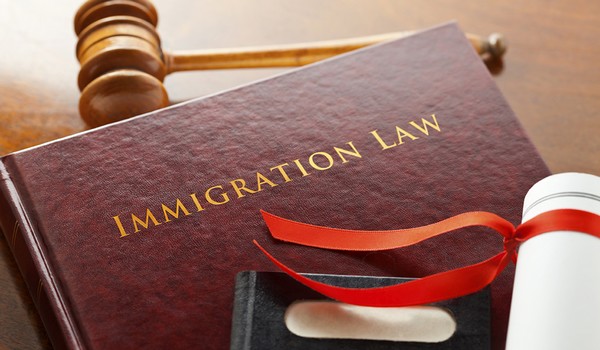 Immigration Law