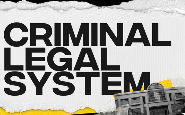 The Basics of the Legal System