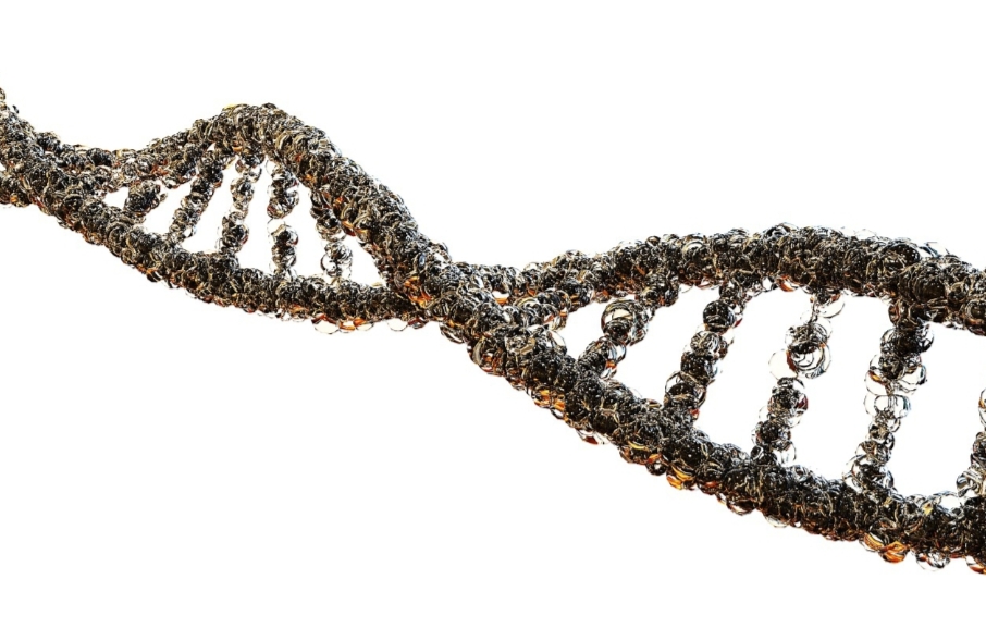 MTHFR Gene Mutations