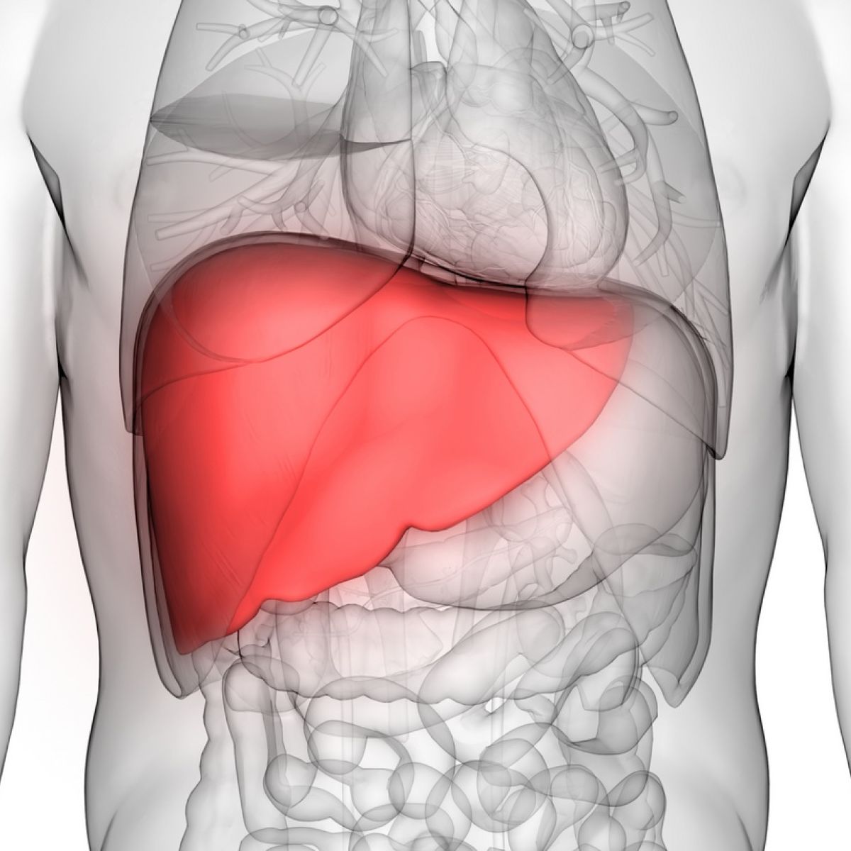 healthliver