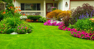 Benefits of Hiring Professional Landscaping Company