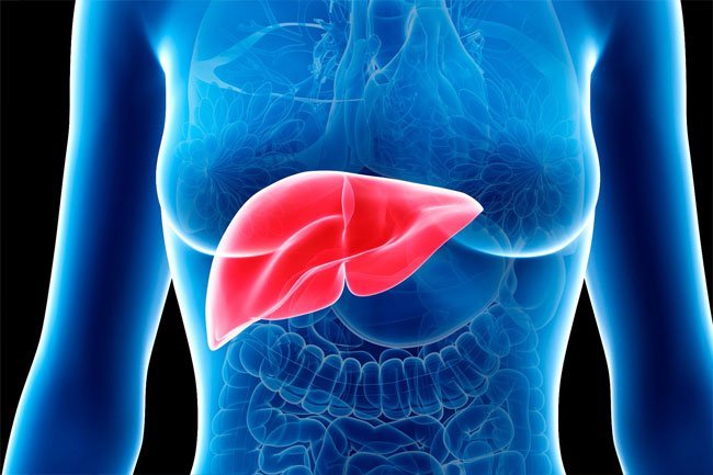 Acute Liver Failure - Causes And Treatment In Delhi