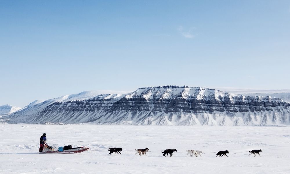 Tips for Surviving Your First Winter in Alaska