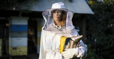 The Best Ways To Learn How To Become a Beekeeper