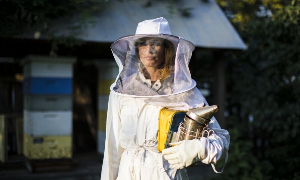 The Best Ways To Learn How To Become a Beekeeper