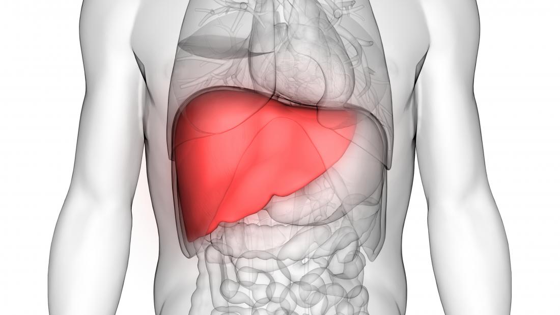 What is a Liver Transplant