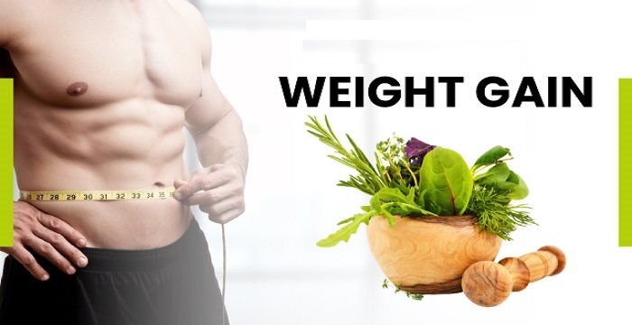 What Are Weight Gain Supplements