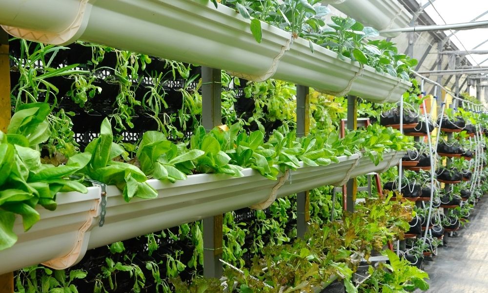 Vertical Farming vs. Normal Farming: What's the Difference?