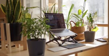 What Are the Benefits of Building a Sustainable and Green Home Office?