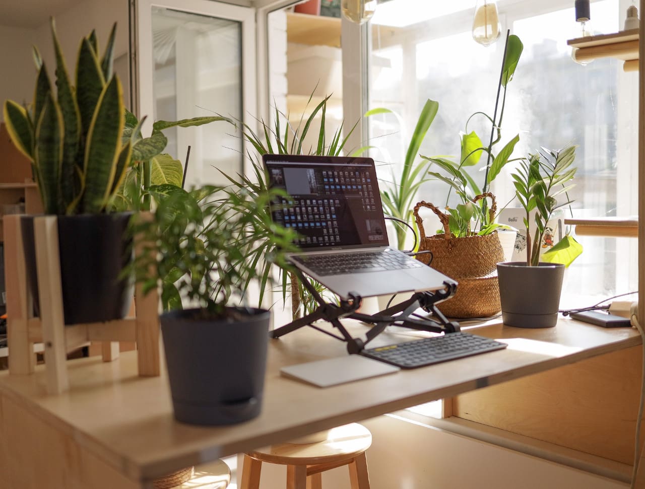 What Are the Benefits of Building a Sustainable and Green Home Office?