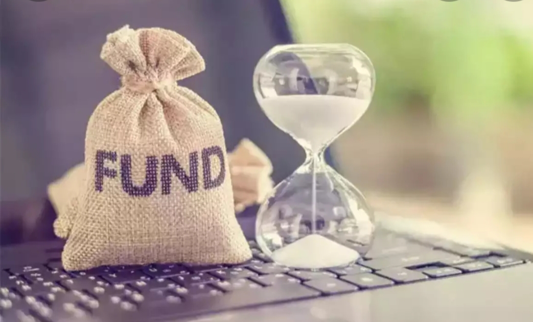 Focused Funds V. Multicap Funds 