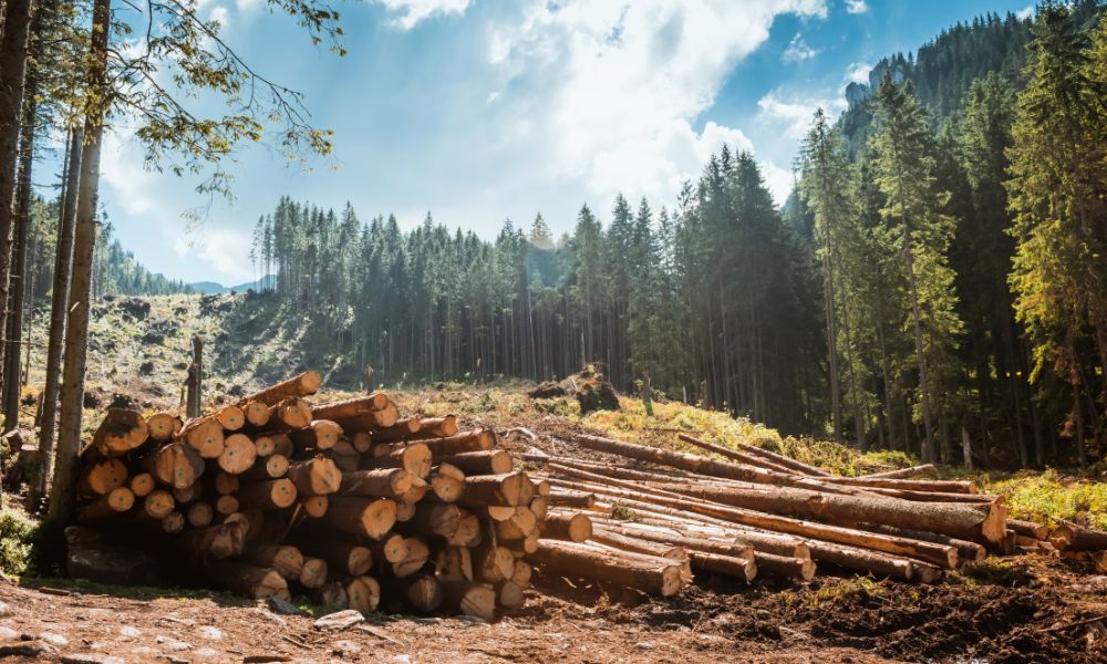 Necessary Equipment for the Logging Industry