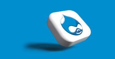 Drupal Development Company