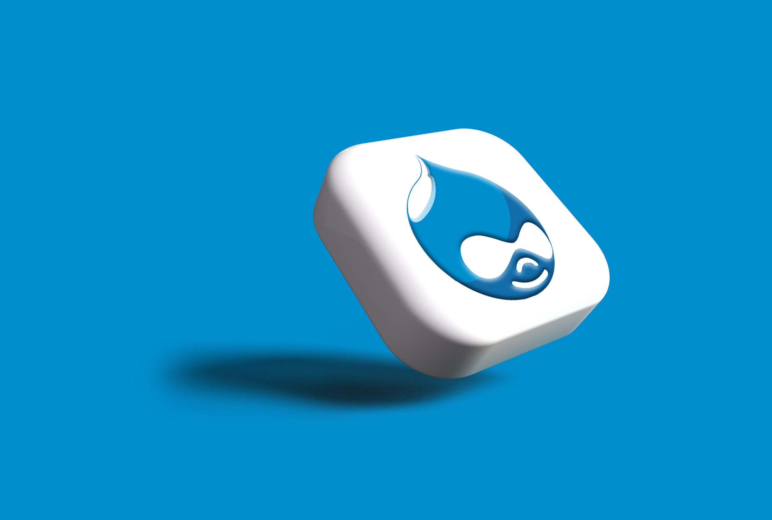 Drupal Development Company