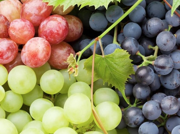 Amazing Benefits of Eating Grapes