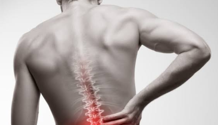 Back Pain Myth