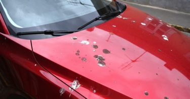 The Top Causes of Car Paint and Clear Coat Damage