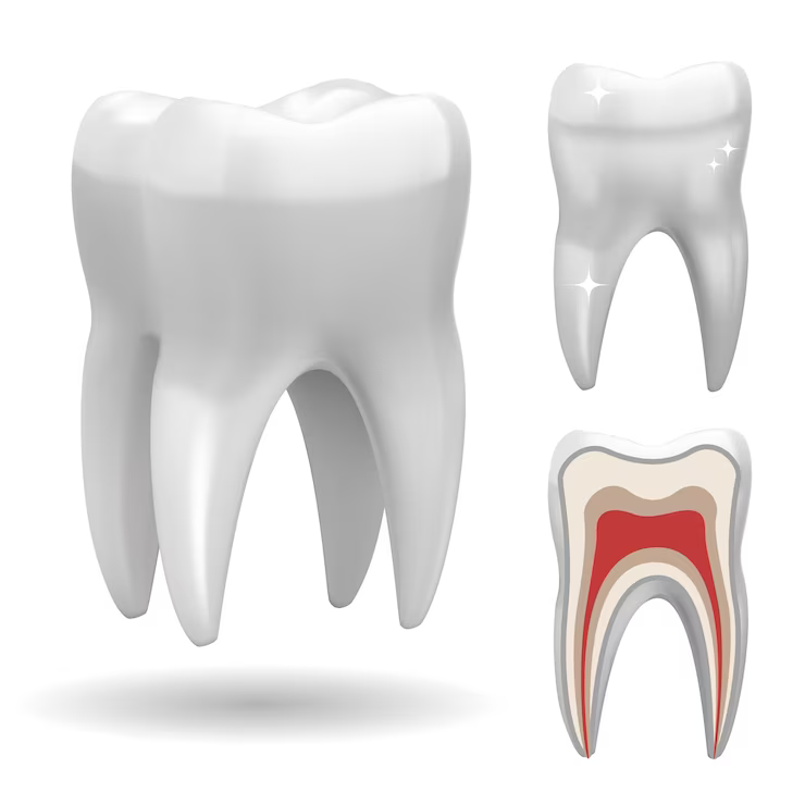 dental crowns