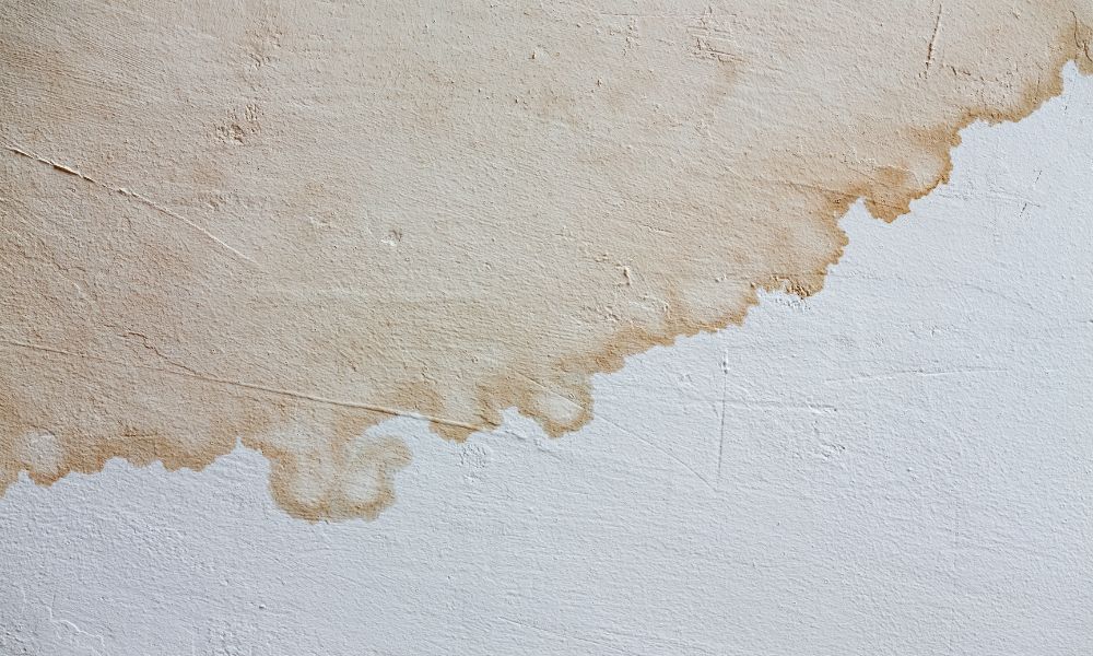 What To Do if You Find Discoloration in Your Walls