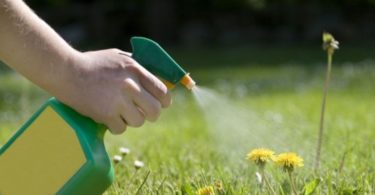 Weed Killer For Lawns