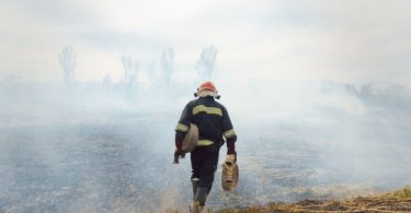 Things To Consider if You Want To Be a Wildland Firefighter