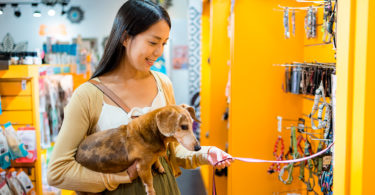 Launching Your Pet Store