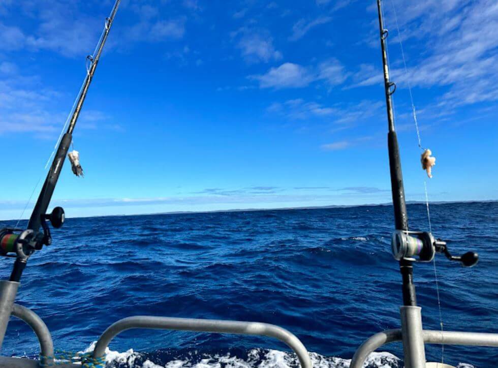 fishing charter