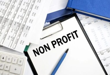 Accounting Basics Non-Profit Organizations