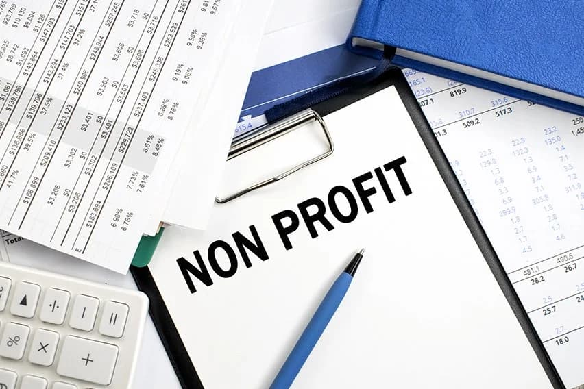 Accounting Basics Non-Profit Organizations