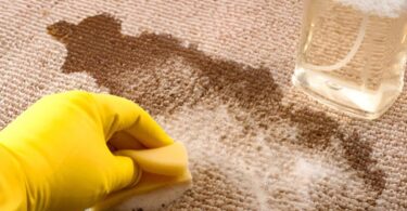 Remove Vomit Stains From The Carpet