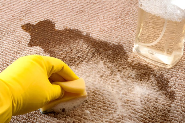 Remove Vomit Stains From The Carpet