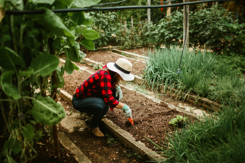 A woman gardening, adding soil to her garden bed, illustrating an article about the top mistakes to avoid when choosing soil and gravel for garden beds