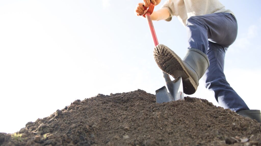 Person digging with a shovel in soil, emphasising safe digging practices for home gardeners. 