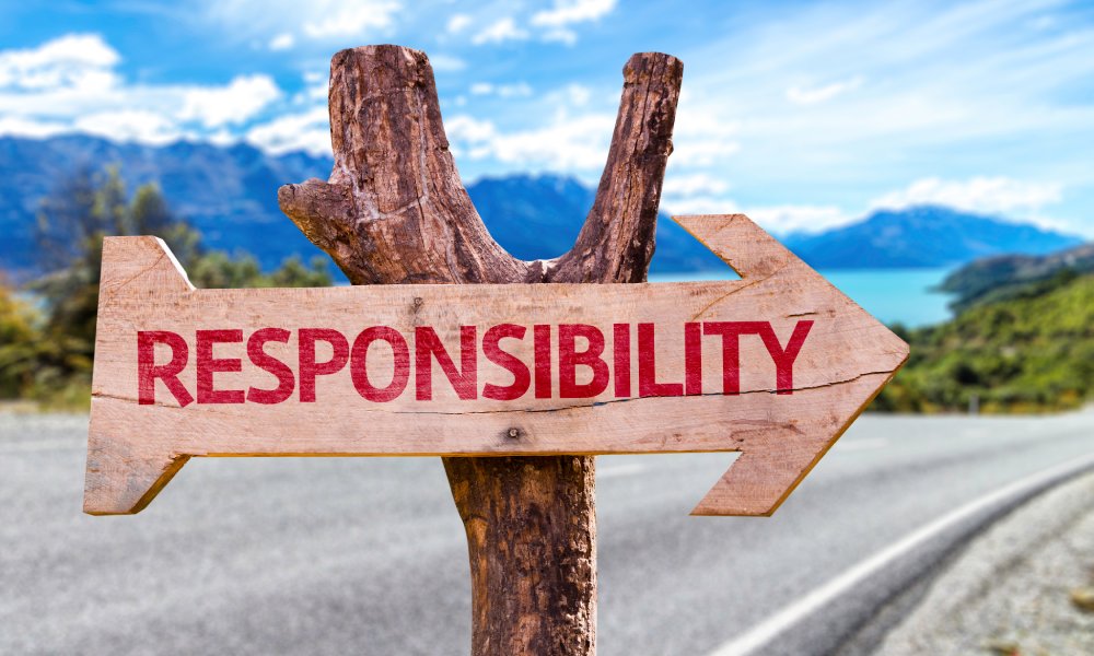 A dead wooden tree next to the road holds up a sign in the shape of an arrow that reads "RESPONSIBILITY" in red letters.